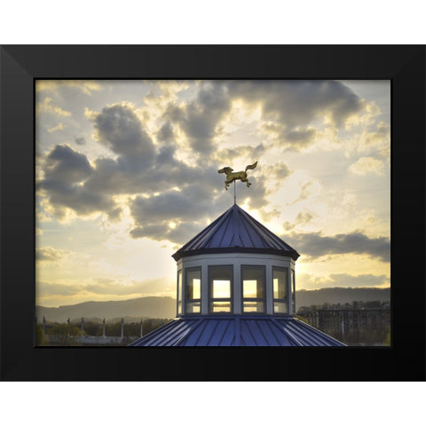 Carousel Last Light Black Modern Wood Framed Art Print by Lee, Rachel