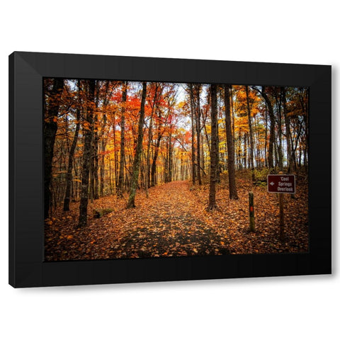 Cool Springs Overlook Black Modern Wood Framed Art Print with Double Matting by Lee, Rachel