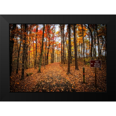 Cool Springs Overlook Black Modern Wood Framed Art Print by Lee, Rachel