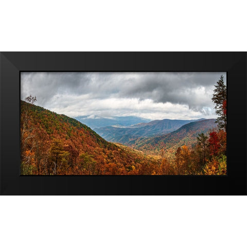 Cool Springs Overlook 2 Black Modern Wood Framed Art Print by Lee, Rachel