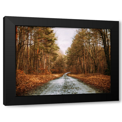 Country Road 16 Black Modern Wood Framed Art Print with Double Matting by Lee, Rachel