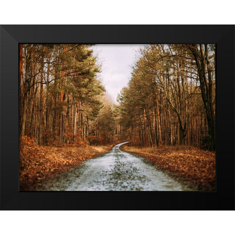 Country Road 16 Black Modern Wood Framed Art Print by Lee, Rachel