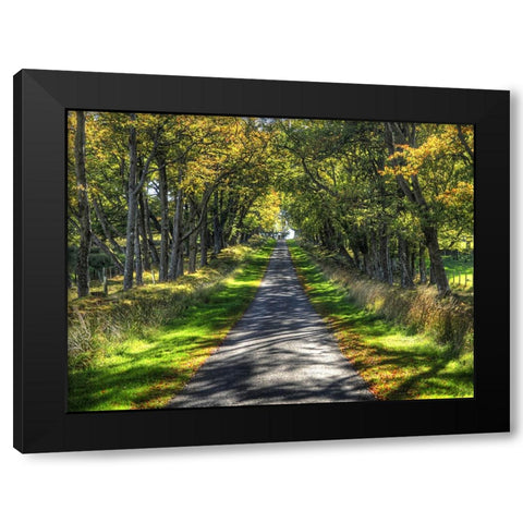 Country Road 21 Black Modern Wood Framed Art Print by Lee, Rachel