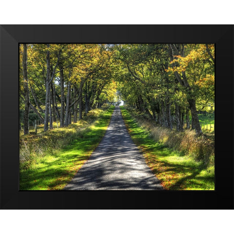 Country Road 21 Black Modern Wood Framed Art Print by Lee, Rachel