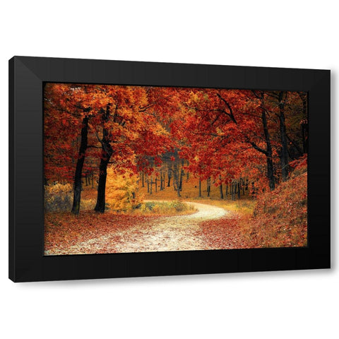 Country Road 9 Black Modern Wood Framed Art Print by Lee, Rachel