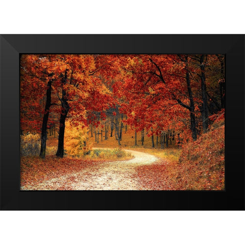 Country Road 9 Black Modern Wood Framed Art Print by Lee, Rachel