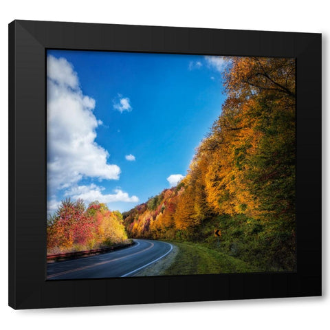 Fall Curve Black Modern Wood Framed Art Print by Lee, Rachel