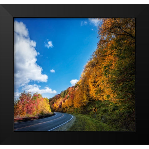 Fall Curve Black Modern Wood Framed Art Print by Lee, Rachel