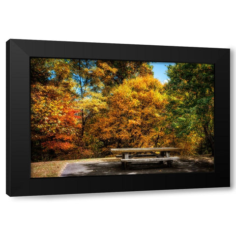 Fall Picnic Black Modern Wood Framed Art Print by Lee, Rachel