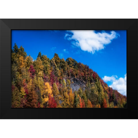 Fall Ridge Black Modern Wood Framed Art Print by Lee, Rachel