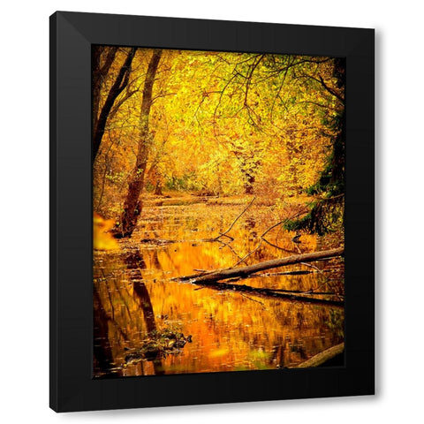 Fall Stream Black Modern Wood Framed Art Print with Double Matting by Lee, Rachel