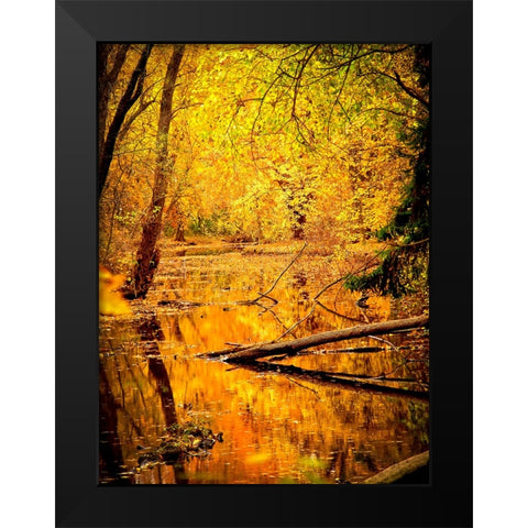 Fall Stream Black Modern Wood Framed Art Print by Lee, Rachel