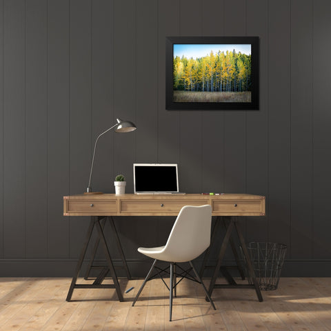 Fall Trees 10 Black Modern Wood Framed Art Print by Lee, Rachel