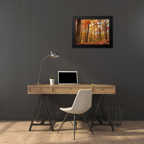 Fall Trees 19 Black Modern Wood Framed Art Print by Lee, Rachel
