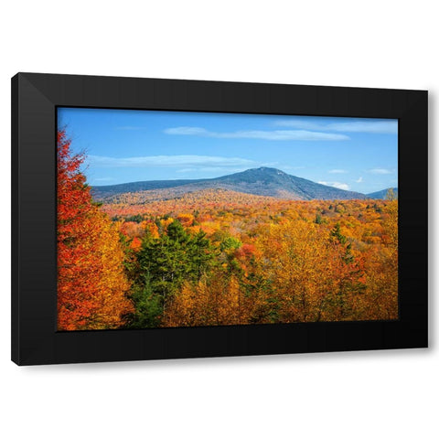 Fall Trees 6 Black Modern Wood Framed Art Print with Double Matting by Lee, Rachel