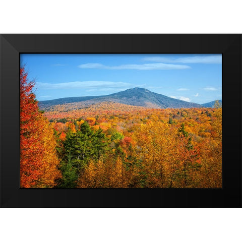 Fall Trees 6 Black Modern Wood Framed Art Print by Lee, Rachel