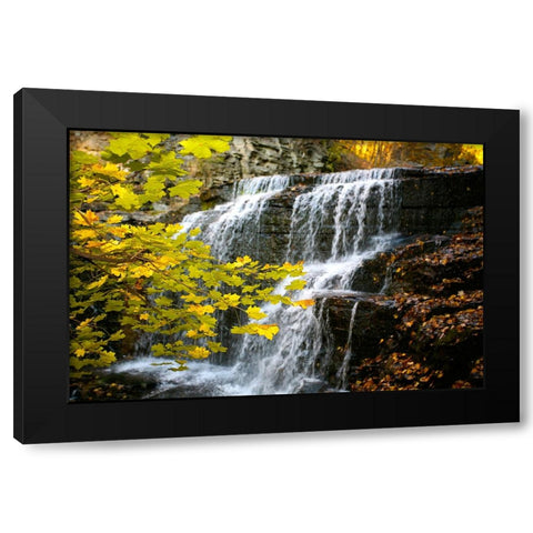 Fall Waterfall Black Modern Wood Framed Art Print with Double Matting by Lee, Rachel