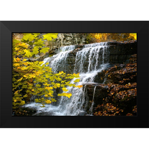 Fall Waterfall Black Modern Wood Framed Art Print by Lee, Rachel