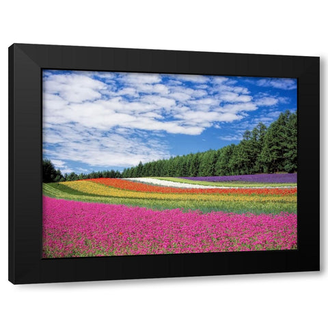 Field 19 Black Modern Wood Framed Art Print by Lee, Rachel