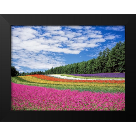 Field 19 Black Modern Wood Framed Art Print by Lee, Rachel