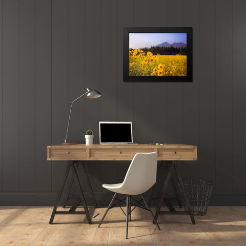 Field 22 Black Modern Wood Framed Art Print by Lee, Rachel