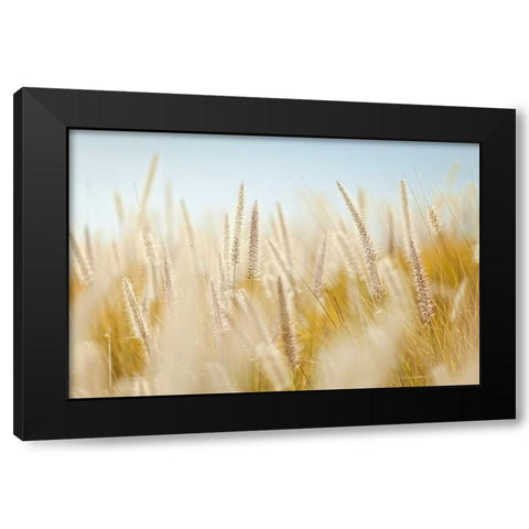Field 6 Black Modern Wood Framed Art Print with Double Matting by Lee, Rachel