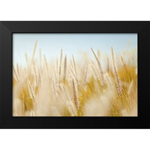 Field 6 Black Modern Wood Framed Art Print by Lee, Rachel