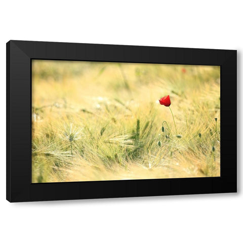 Field 9 Black Modern Wood Framed Art Print by Lee, Rachel