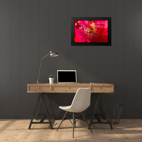 Flower 2 Black Modern Wood Framed Art Print by Lee, Rachel