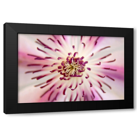 Flower 32 Black Modern Wood Framed Art Print by Lee, Rachel