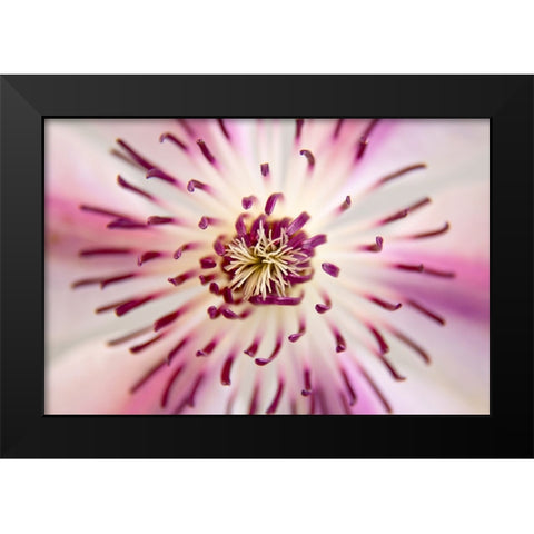 Flower 32 Black Modern Wood Framed Art Print by Lee, Rachel