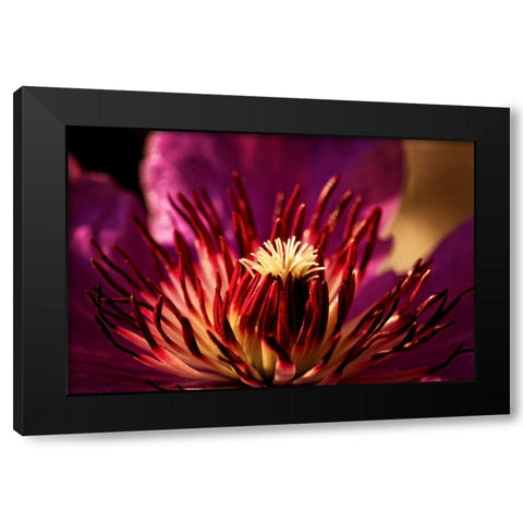 Flower 34 Black Modern Wood Framed Art Print by Lee, Rachel