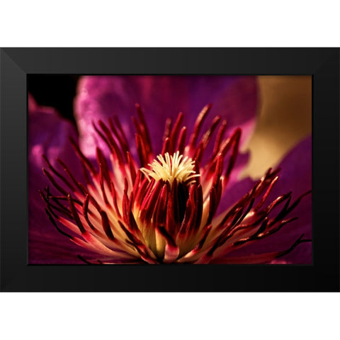 Flower 34 Black Modern Wood Framed Art Print by Lee, Rachel