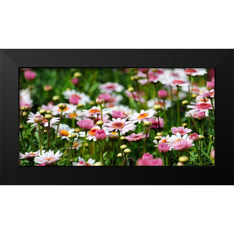 Flower 48 Black Modern Wood Framed Art Print by Lee, Rachel