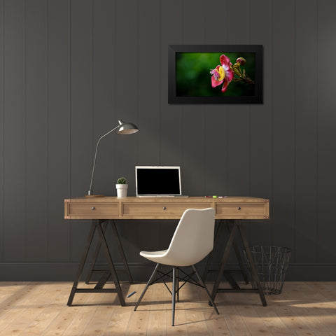 Flower 5 Black Modern Wood Framed Art Print by Lee, Rachel