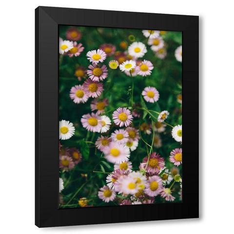 Flower 53 Black Modern Wood Framed Art Print with Double Matting by Lee, Rachel