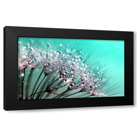 Flower 55 Black Modern Wood Framed Art Print by Lee, Rachel