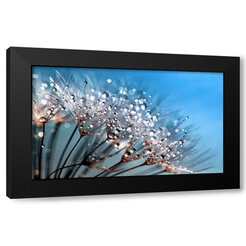 Flower 55 Custom Blue Black Modern Wood Framed Art Print by Lee, Rachel