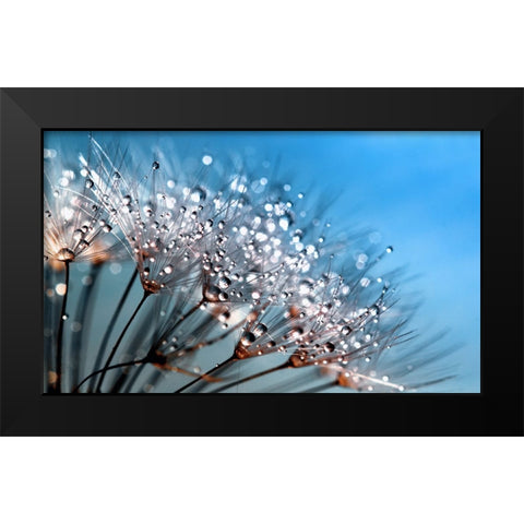 Flower 55 Custom Blue Black Modern Wood Framed Art Print by Lee, Rachel