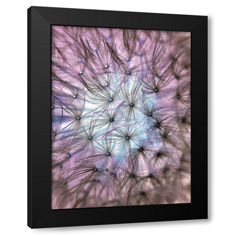 Flower 58 Black Modern Wood Framed Art Print by Lee, Rachel