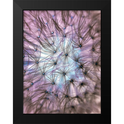 Flower 58 Black Modern Wood Framed Art Print by Lee, Rachel