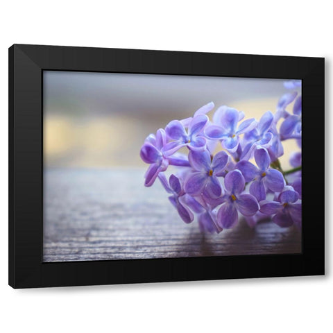 Flower 63 Black Modern Wood Framed Art Print by Lee, Rachel