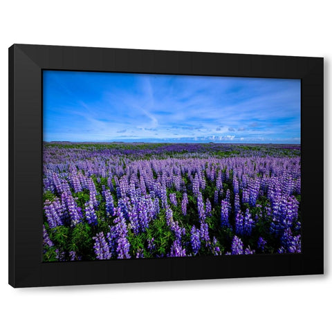 Flower 64 Black Modern Wood Framed Art Print by Lee, Rachel