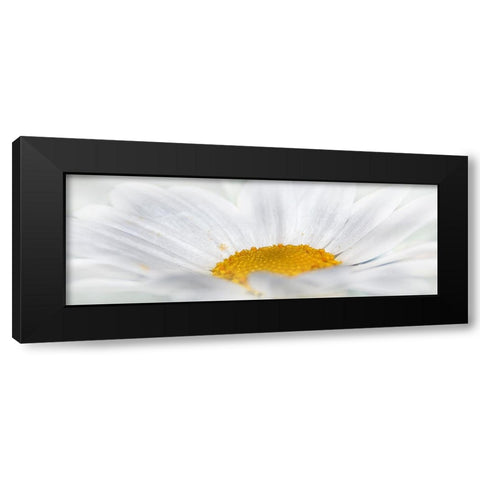 Flower 68 Black Modern Wood Framed Art Print by Lee, Rachel