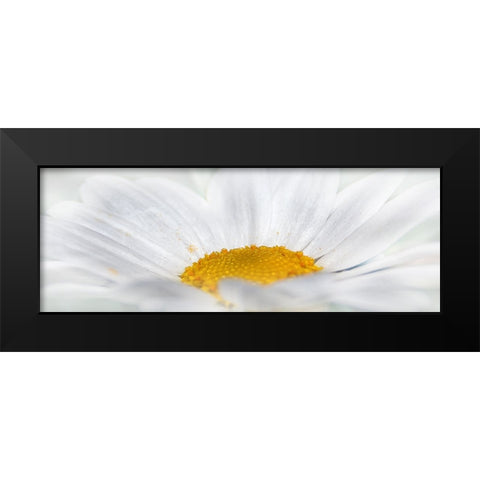 Flower 68 Black Modern Wood Framed Art Print by Lee, Rachel