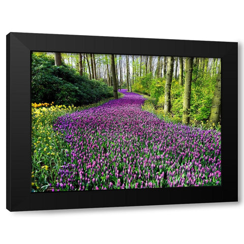 Flower 75 Black Modern Wood Framed Art Print by Lee, Rachel
