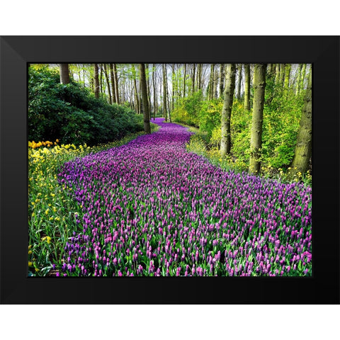 Flower 75 Black Modern Wood Framed Art Print by Lee, Rachel