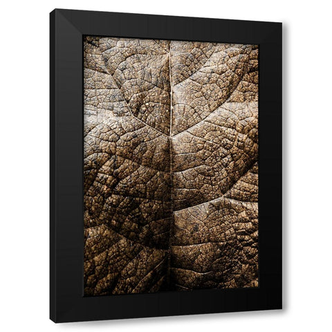 Foliage Textured 1 Black Modern Wood Framed Art Print with Double Matting by Lee, Rachel