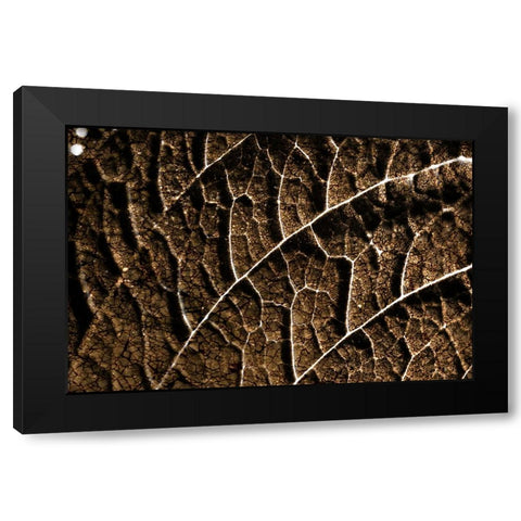 Foliage Textured 3 Black Modern Wood Framed Art Print with Double Matting by Lee, Rachel