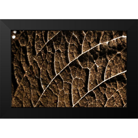 Foliage Textured 3 Black Modern Wood Framed Art Print by Lee, Rachel